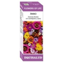 Flower of life ande Equisalud | tiendaonline.lineaysalud.com