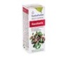 Gaultheria aceitede Esential Aroms | tiendaonline.lineaysalud.com