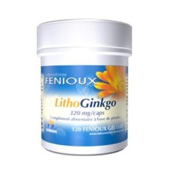 Litho ginkgo 120cde Fenioux | tiendaonline.lineaysalud.com