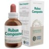 Rubus composto exde Forza Vitale | tiendaonline.lineaysalud.com