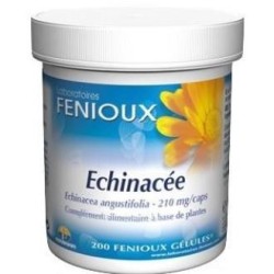 Echinacea angustide Fenioux | tiendaonline.lineaysalud.com