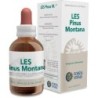 Les pinus montanade Forza Vitale | tiendaonline.lineaysalud.com