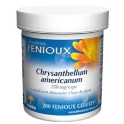 Chrysantellum amede Fenioux | tiendaonline.lineaysalud.com