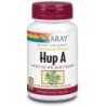 HUPERZINE A -HUP A 60 cáp  Solaray | En tiendaonline.lineaysalud.com