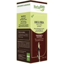 Higuera macerado de Herbalgem | tiendaonline.lineaysalud.com