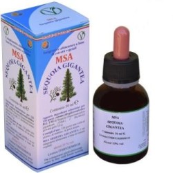 Msa sequoia gigande Herboplanet | tiendaonline.lineaysalud.com