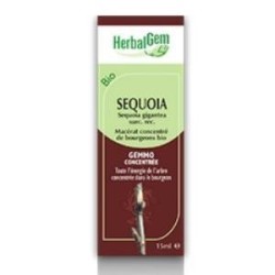 Sequoia macerado de Herbalgem | tiendaonline.lineaysalud.com