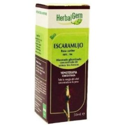Escaramujo (rosalde Herbalgem | tiendaonline.lineaysalud.com
