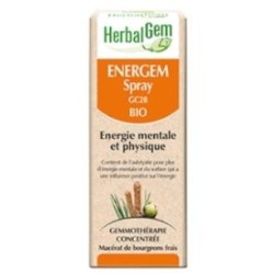Energem spray 10mde Herbalgem | tiendaonline.lineaysalud.com