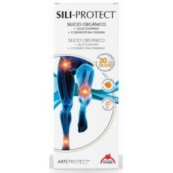 Sili-protect 500mde Intersa | tiendaonline.lineaysalud.com