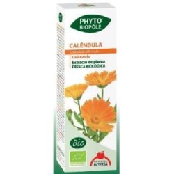 Phyto-bipole bio de Intersa | tiendaonline.lineaysalud.com