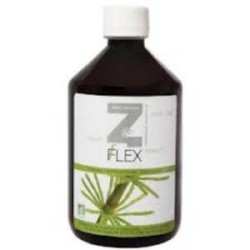 Z-flex 500ml.de Mint-e Health Laboratories | tiendaonline.lineaysalud.com