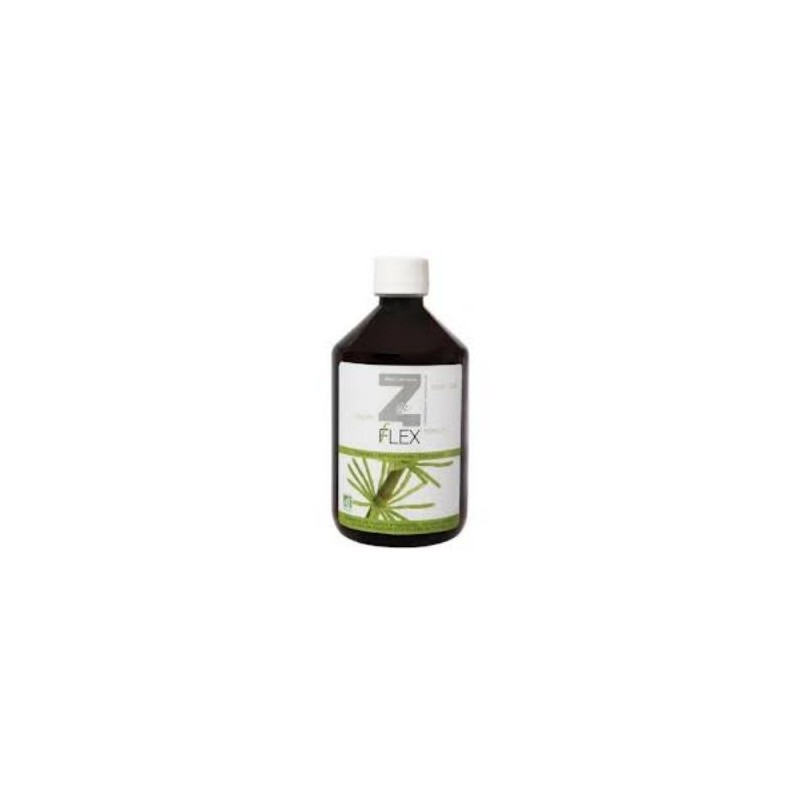 Z-flex 500ml.de Mint-e Health Laboratories | tiendaonline.lineaysalud.com