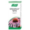 Echinaforce Sprayde A.vogel (bioforce),aceites esenciales | tiendaonline.lineaysalud.com