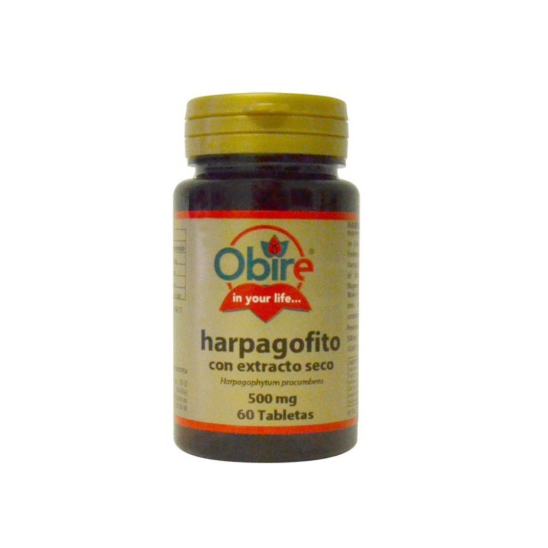 Harpagofito o Garra del diablo y Harpagophytum procumbens| lineaysalud