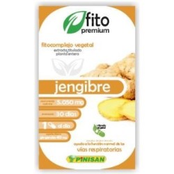 Fito premium jengde Pinisan | tiendaonline.lineaysalud.com