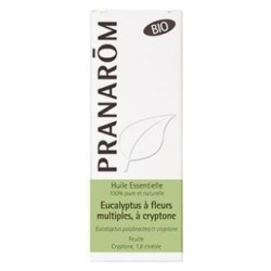 Eucalipto de florde Pranarom | tiendaonline.lineaysalud.com