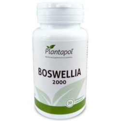 Boswellia 2000 de Plantapol | tiendaonline.lineaysalud.com
