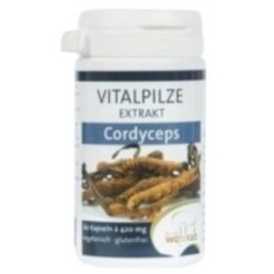 Cordyceps de Pilze Wolhrab | tiendaonline.lineaysalud.com