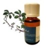 Aceite esencial de Wintergreen (Gaulteria). Puro. 15 ml.  Sin aditivos