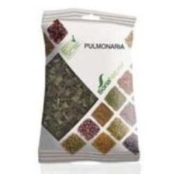 Pulmonaria bolsa de Soria Natural | tiendaonline.lineaysalud.com