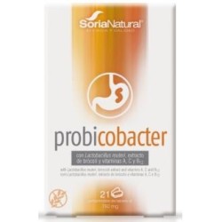 Probicobacter de Soria Natural | tiendaonline.lineaysalud.com