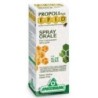 Epid spray oral ade Specchiasol | tiendaonline.lineaysalud.com