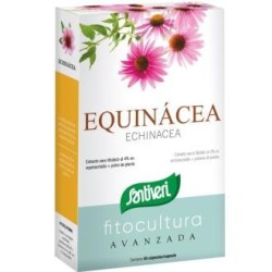 Echinacea de Santiveri | tiendaonline.lineaysalud.com