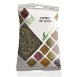 Diente de leon bode Soria Natural | tiendaonline.lineaysalud.com