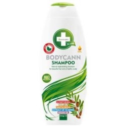 Bodycann champu 2de Annabis,aceites esenciales | tiendaonline.lineaysalud.com