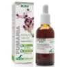 Ext. fumaria xxi de Soria Natural | tiendaonline.lineaysalud.com