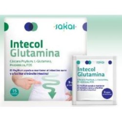 Intecol glutaminade Sakai | tiendaonline.lineaysalud.com