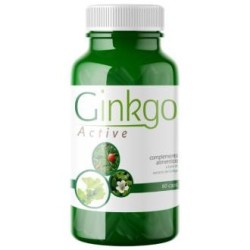 Ginkgo active de Saludalkalina | tiendaonline.lineaysalud.com