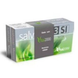 Pack salvital salde Vital 2000 | tiendaonline.lineaysalud.com