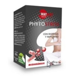 Phytostress de Waydiet Natural Products | tiendaonline.lineaysalud.com