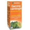 Garcinia cambogiade Ynsadiet | tiendaonline.lineaysalud.com