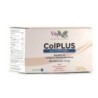 Colplus con fortide Vbyotics | tiendaonline.lineaysalud.com