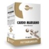 Cardo mariano phyde Waydiet Natural Products | tiendaonline.lineaysalud.com