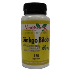 Ginkgo biloba 60mde Vbyotics | tiendaonline.lineaysalud.com