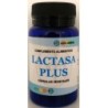 Lactasa plus de Alfa Herbal | tiendaonline.lineaysalud.com