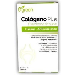 Colageno plus de B.green (lab. Lebudit) | tiendaonline.lineaysalud.com