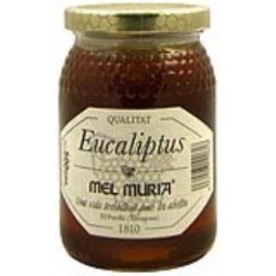Miel de eucaliptode Muria | tiendaonline.lineaysalud.com