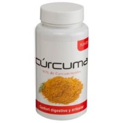 Curcuma plantis 6de Artesania,aceites esenciales | tiendaonline.lineaysalud.com