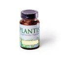 L-Glutamina 500 mg - 50 Cáps vegetales