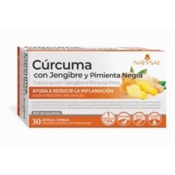 Curcuma con jengide Natysal | tiendaonline.lineaysalud.com