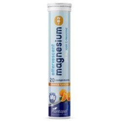 Magnesium+b2 con de Plantapol | tiendaonline.lineaysalud.com