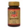 Comprar Garcinia Cambogia 90 caps. Vegetales 300 mg.  al mejor precio