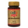Arandanos  (Vaccinium myrtillus L.) 1000mg 60 cápsulas al mejor precio