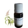 Aceite esencial de eucaliptus 10 ml 100% natural, sin aditivos tóxicos