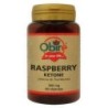 Raspberry Ketone o Cetona Frambuesa 300 mg. 60 Cáp. en tiendaonline